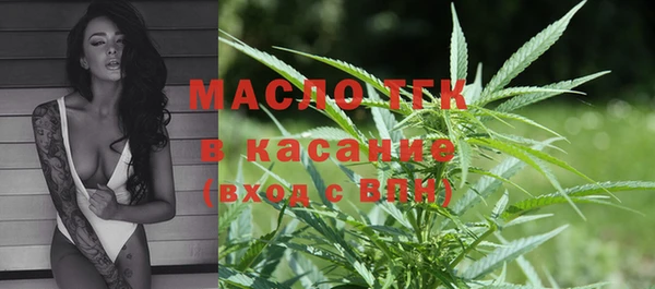 шишки Баксан